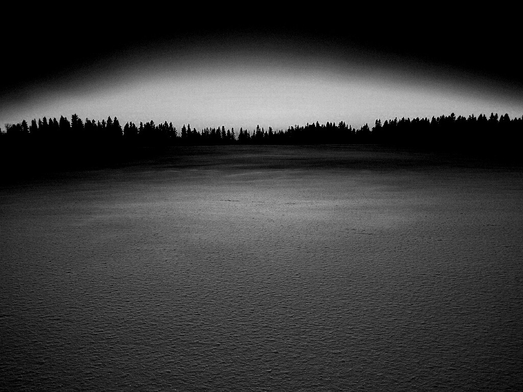 Восход над заснеженным лесом обои