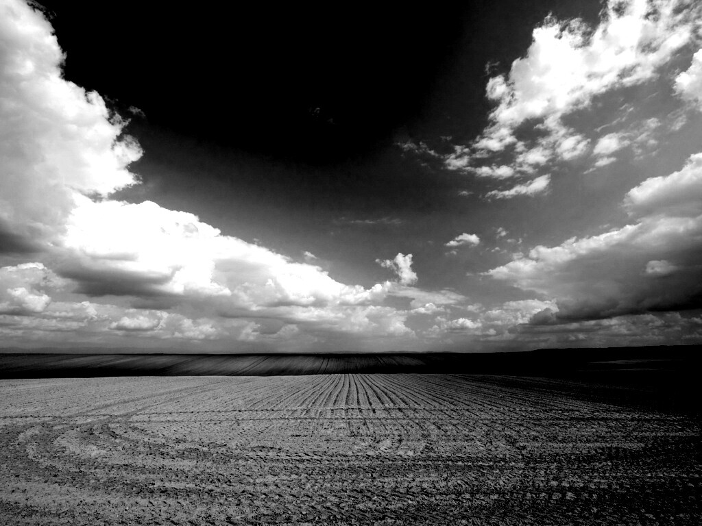 Незасеянное поле обои