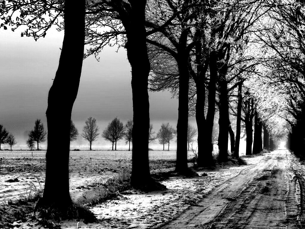 Морозное утро обои