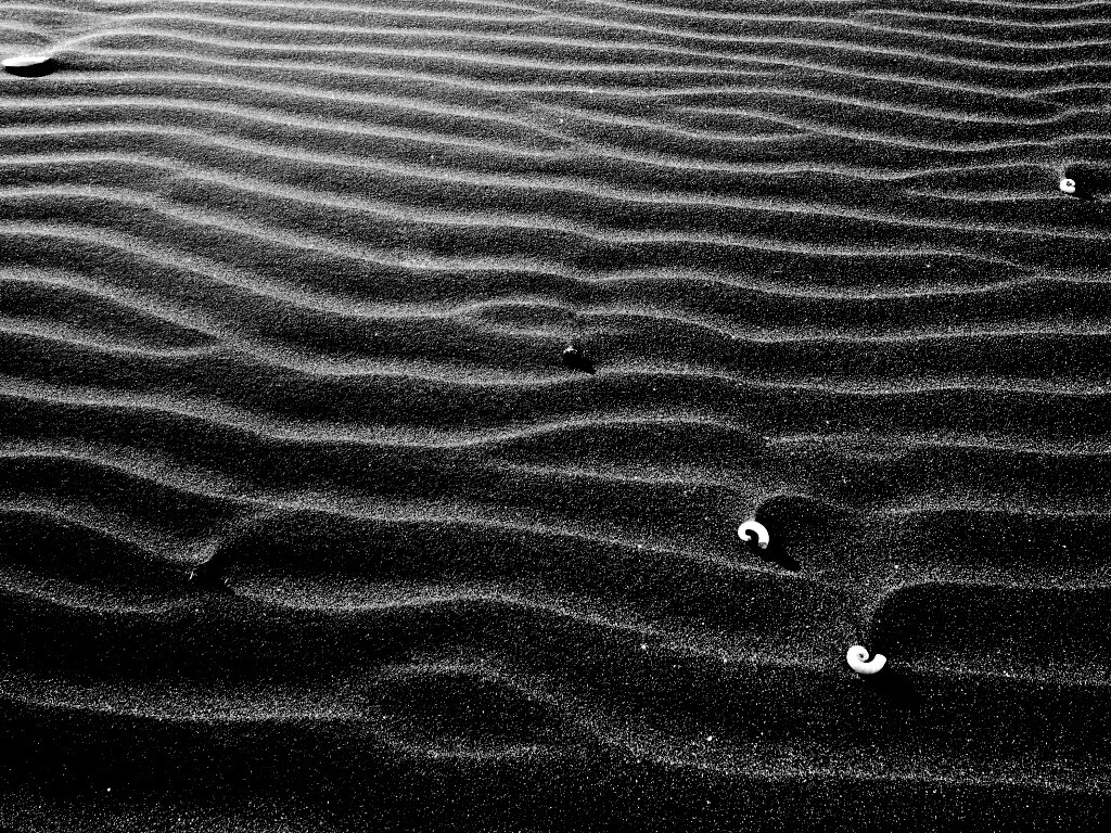 Песок и раковины обои