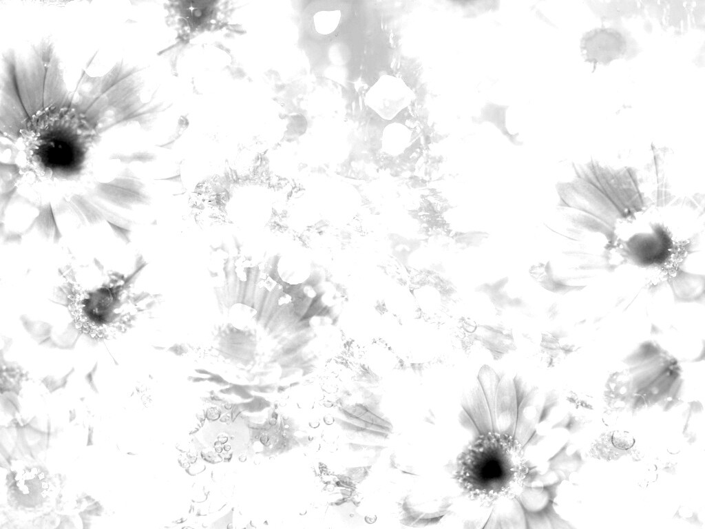 Цветочная эйфория обои