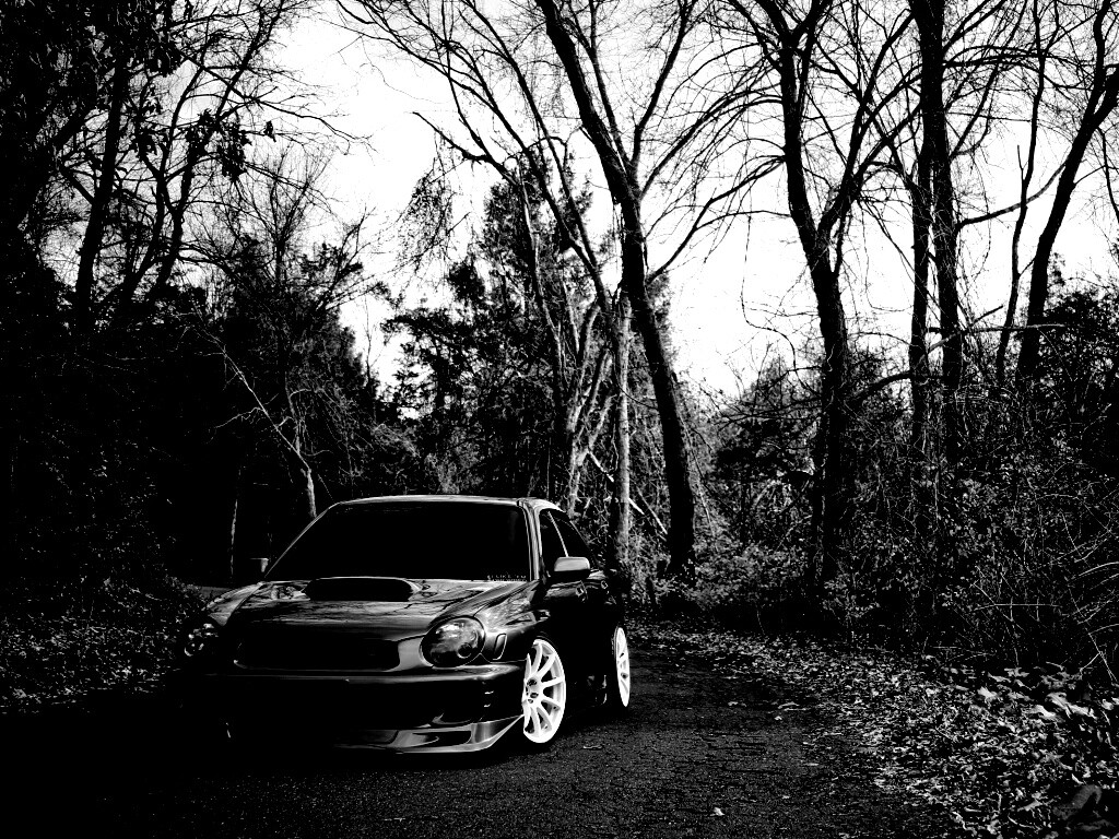 Субару Импреза на лесной дороге обои