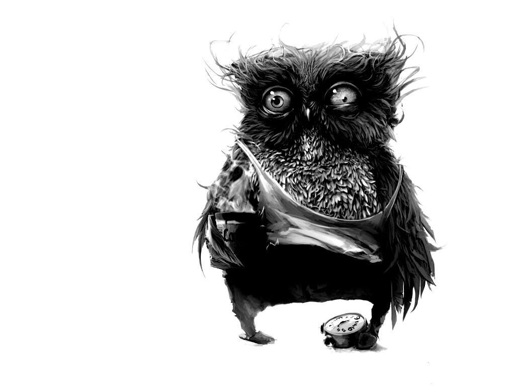 Не спящая сова обои