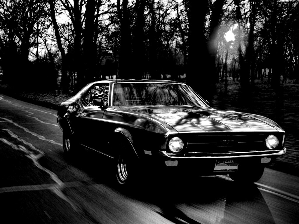 Мустанг обои