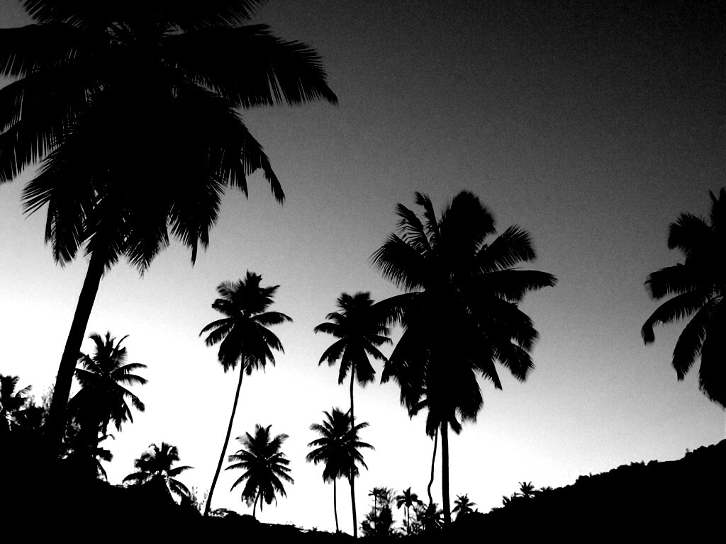 Пальмы на фоне фиолетового неба обои