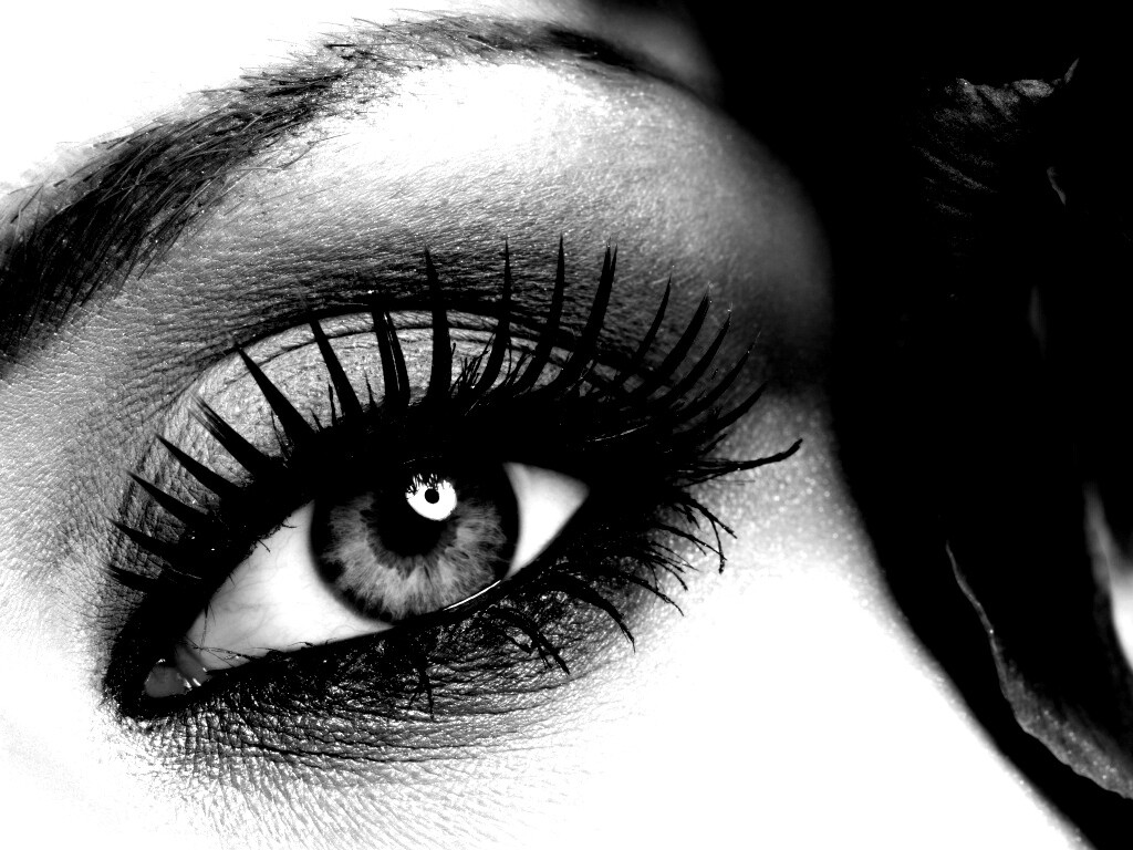 Макияж и цветок обои