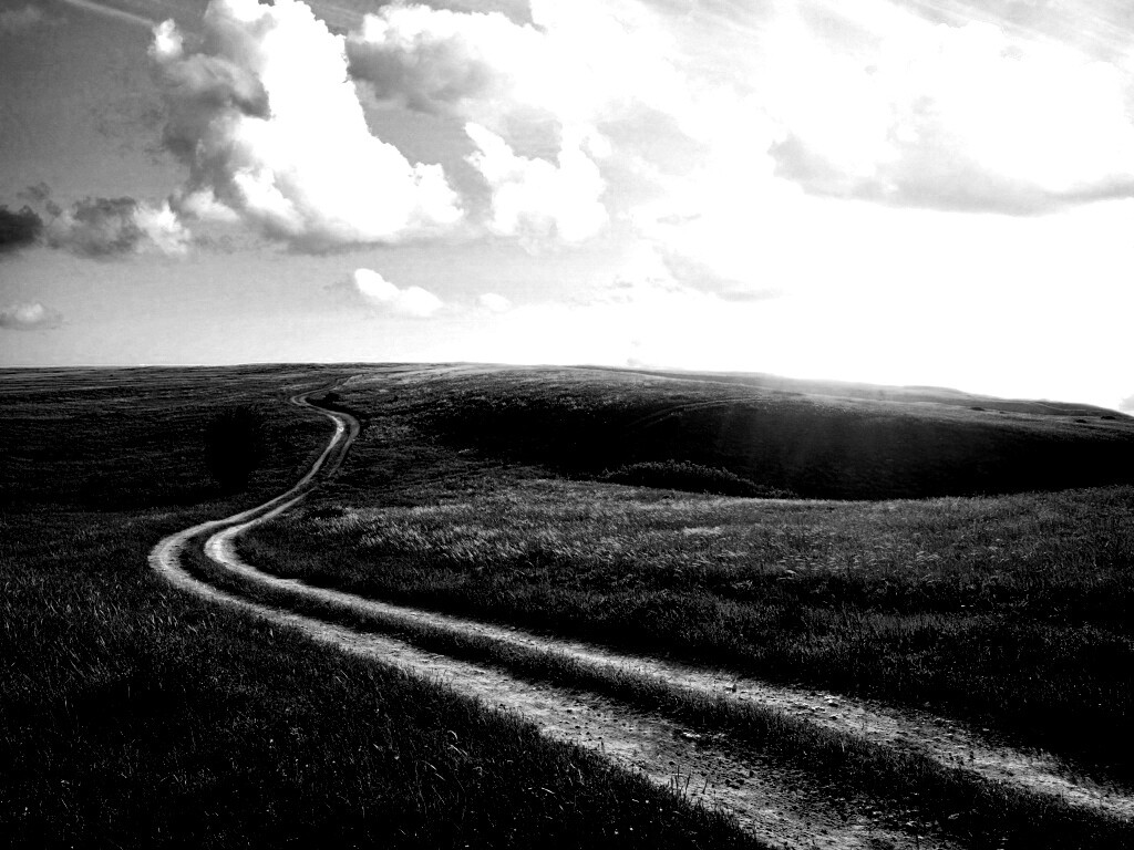 Дорога через луг обои