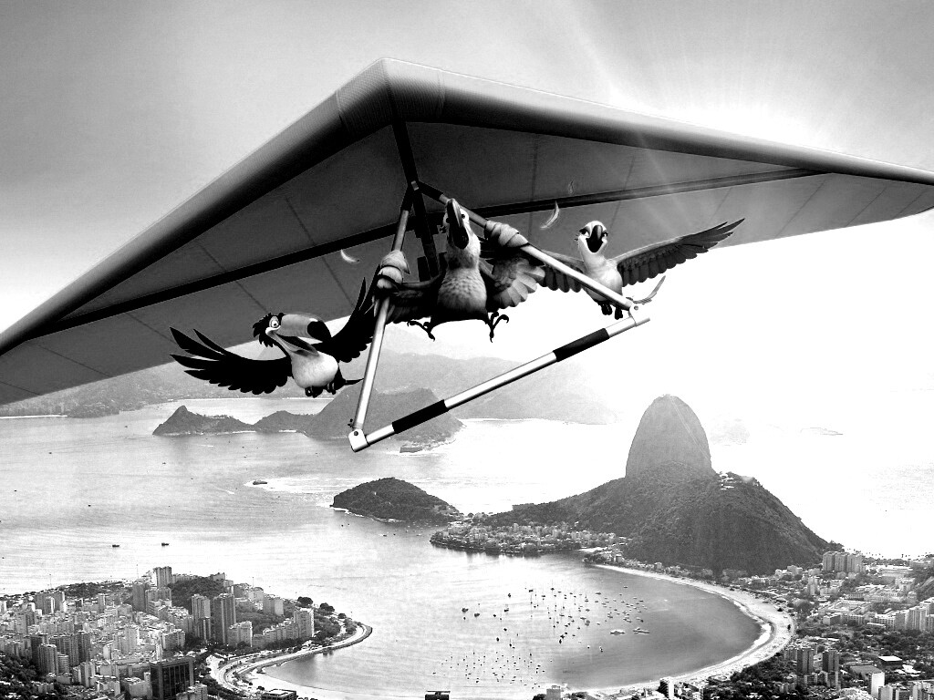 Герои мультфильма Рио обои