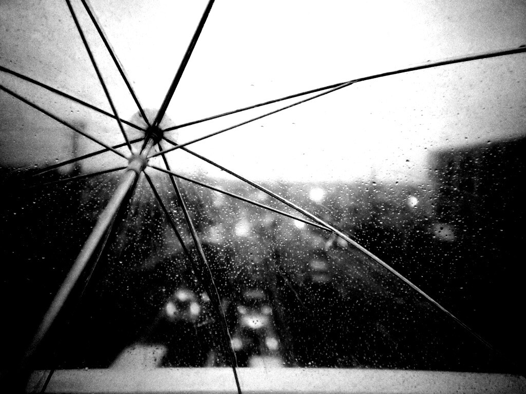 Вид сквозь прозрачный зонтик обои