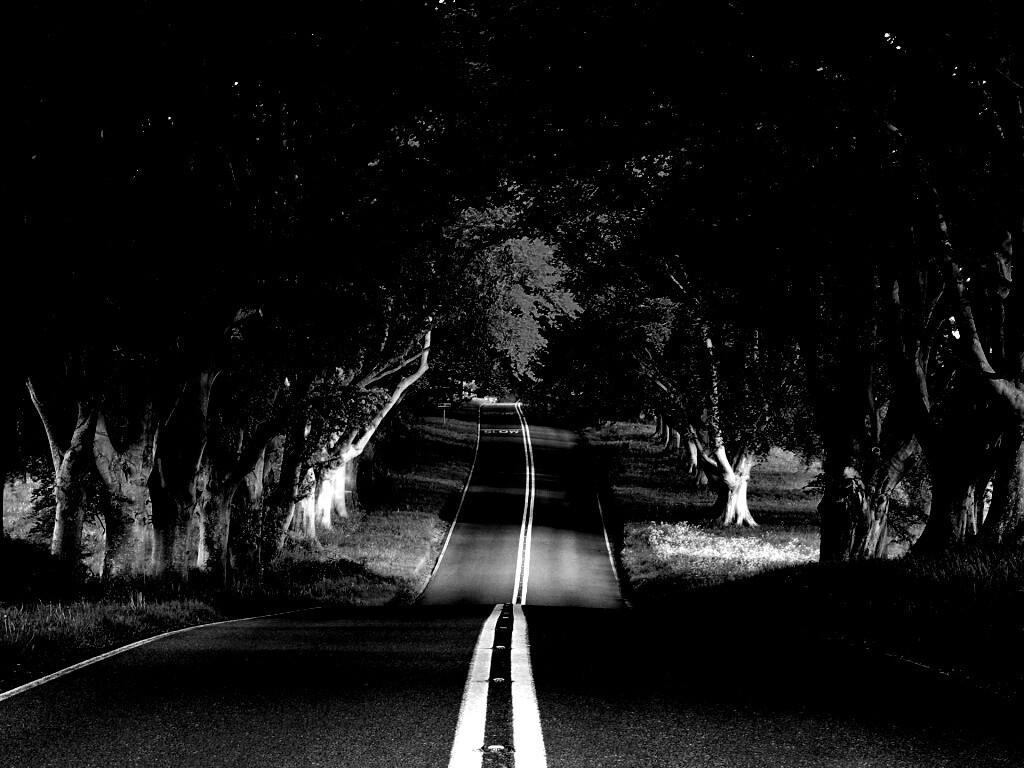 Дорога через лес обои