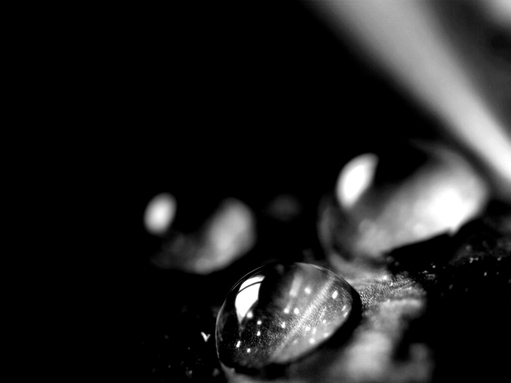 Зеленые капли росы обои