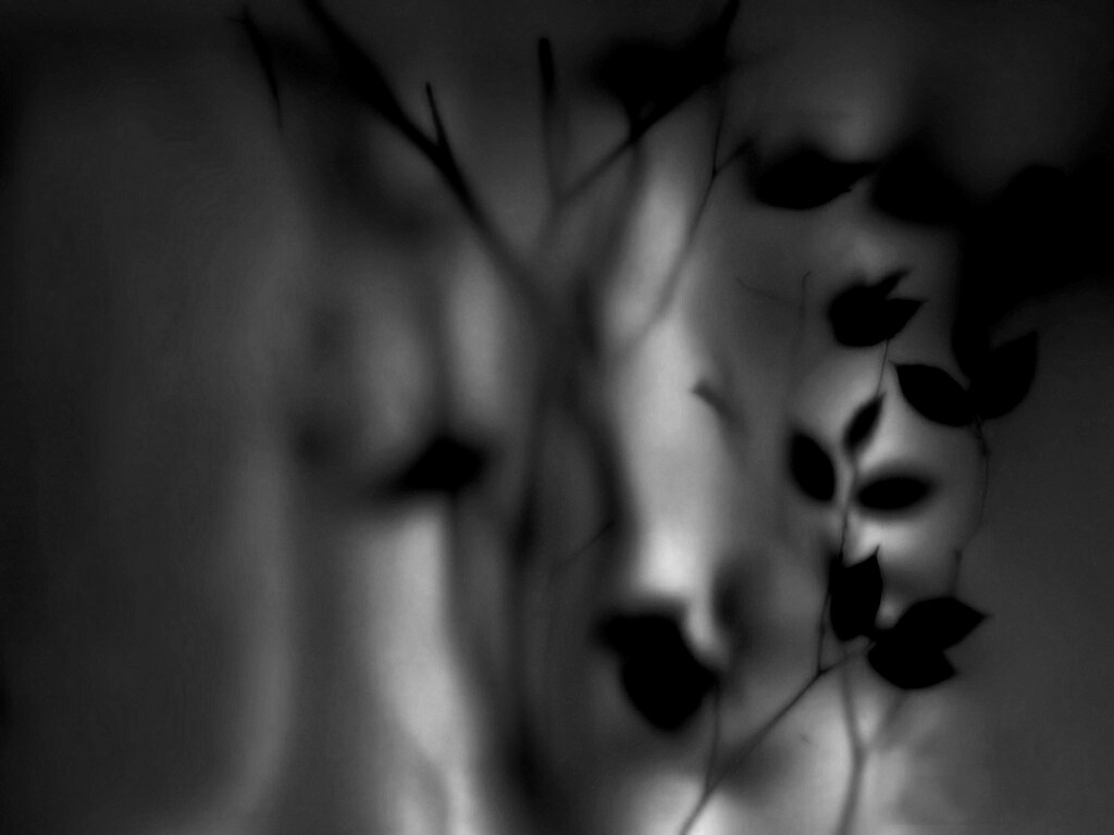 Зелень за стеклом обои