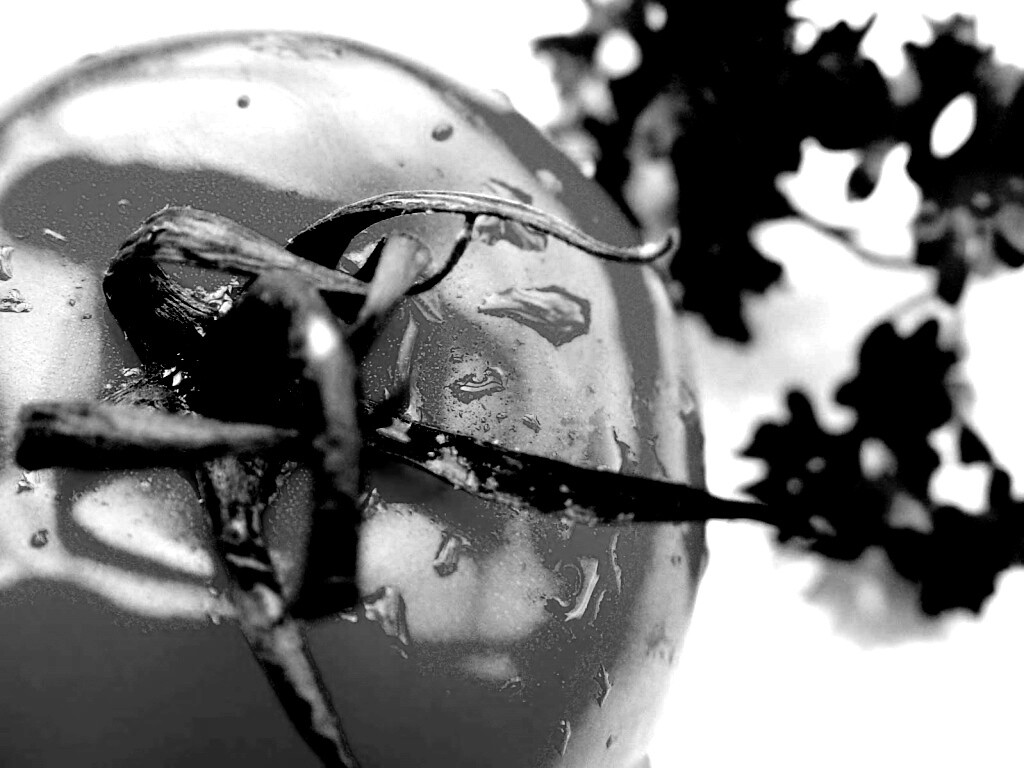 Свежая помидорка обои