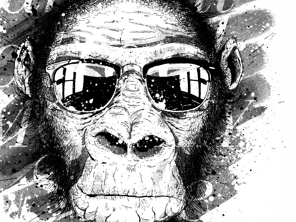 Макака в очках обои