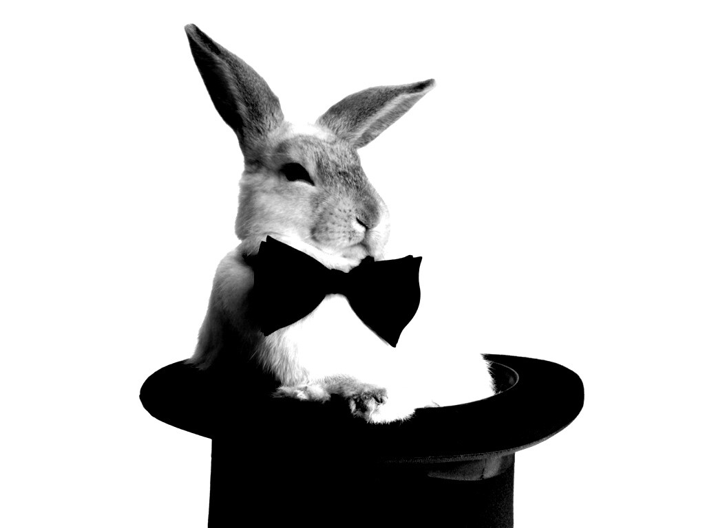 Кролик в цилиндре фокусника обои