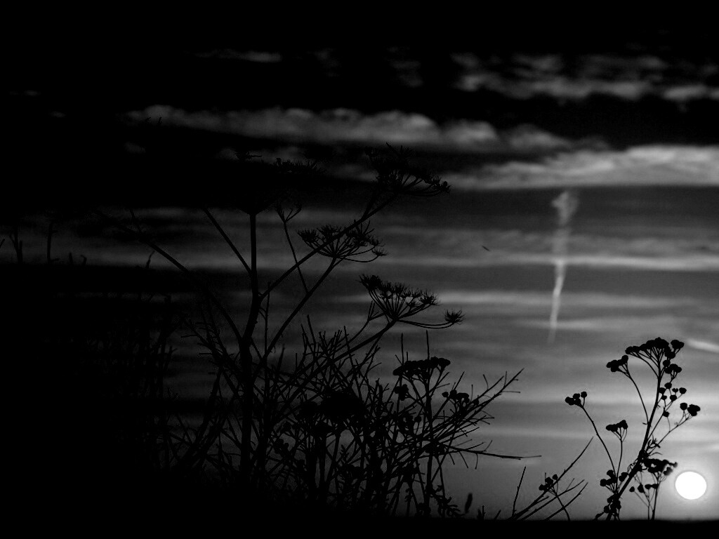 Степной закат обои