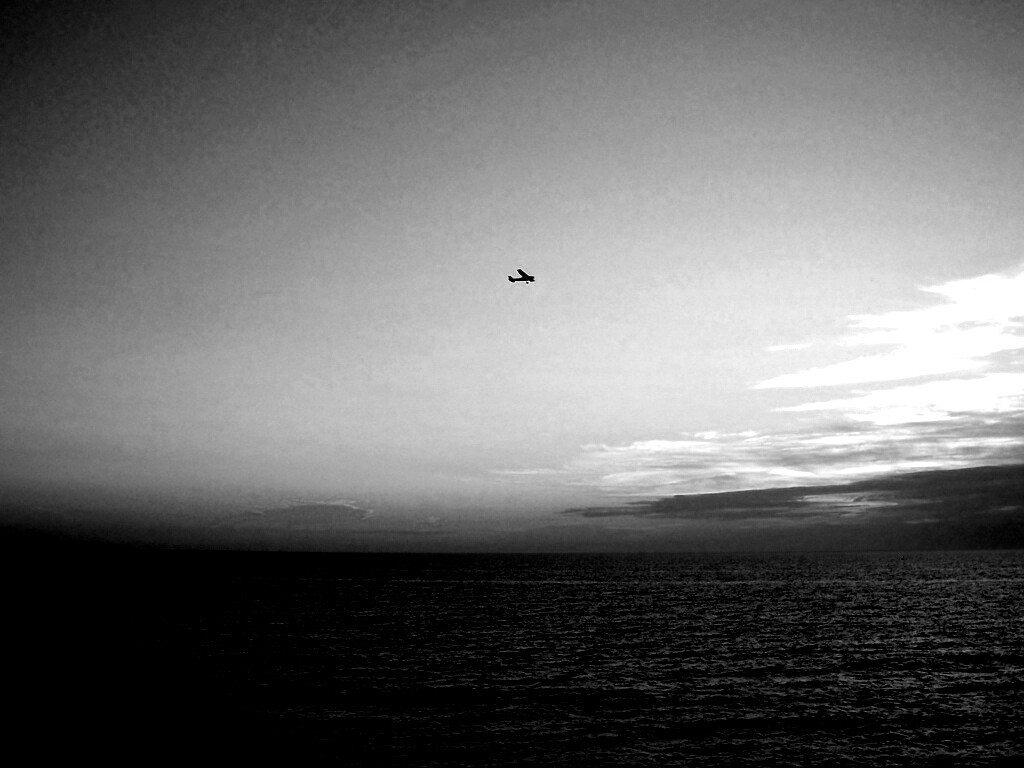 Паращий над морем обои