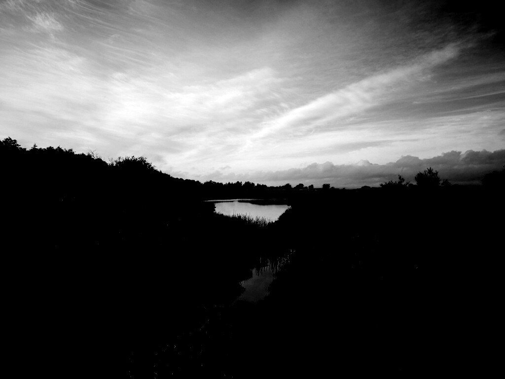 Канава и пруд обои