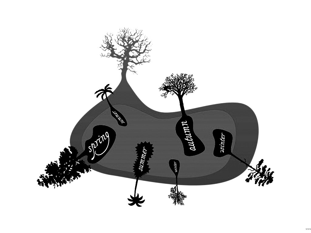 Деревья времен года обои