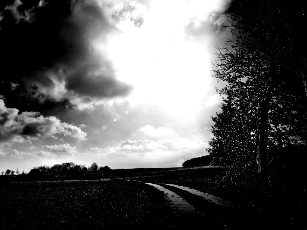 Солнечные холмы обои