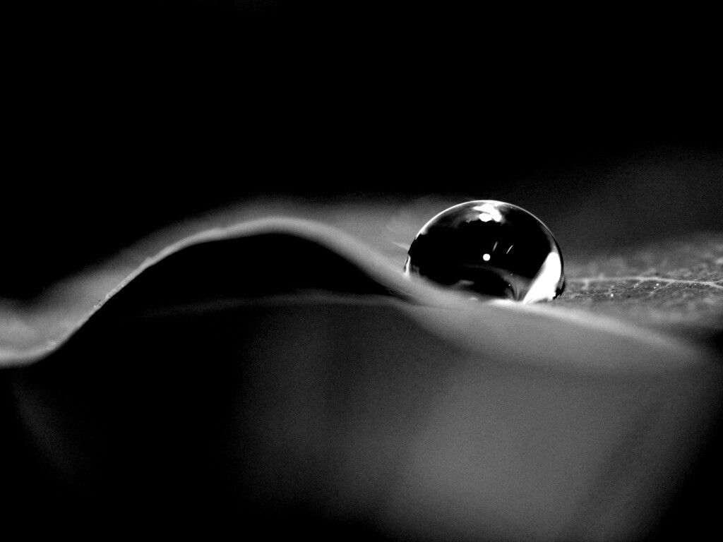 Фотография капли воды в макро обои