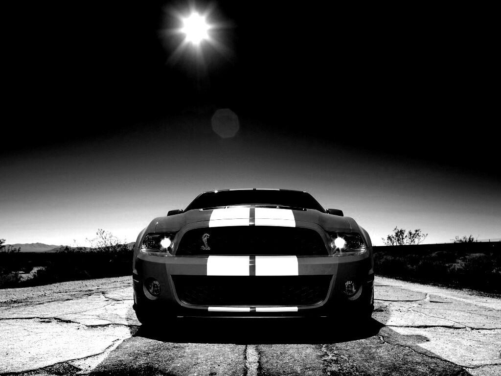 Форд Шелби обои