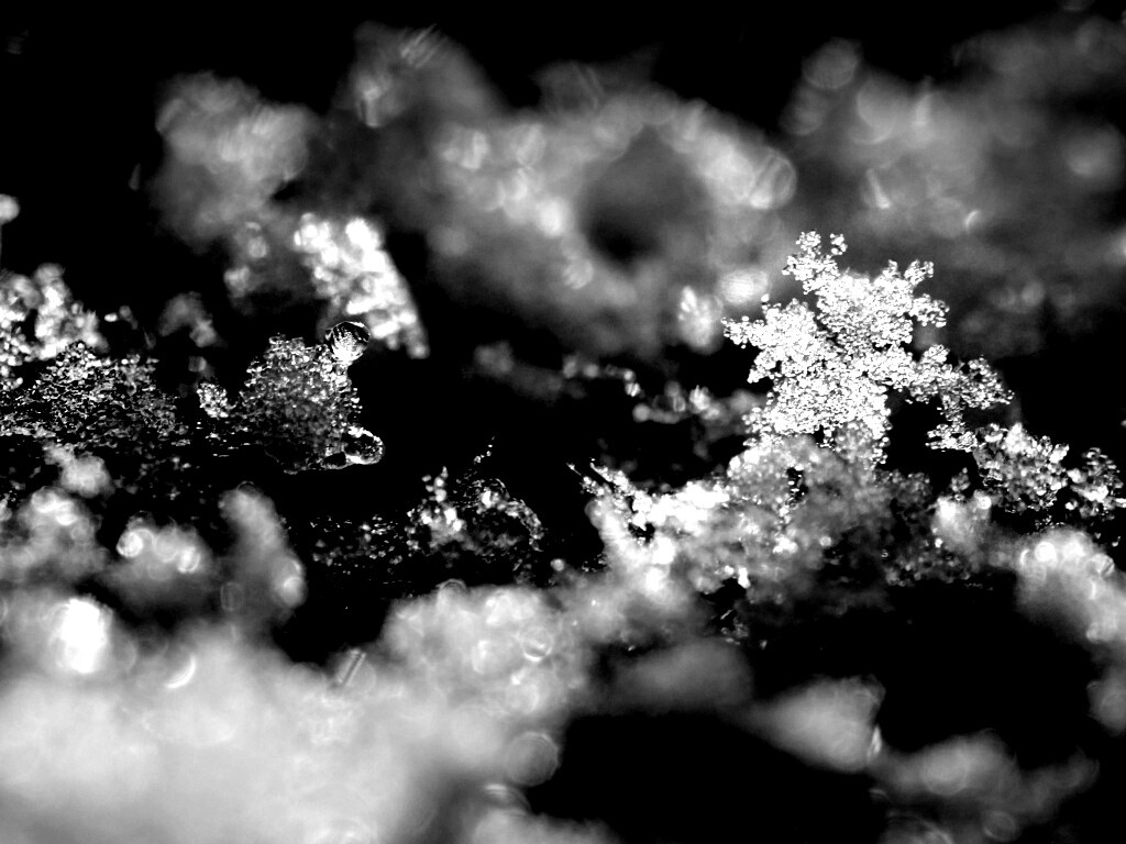 Макро фото снега обои