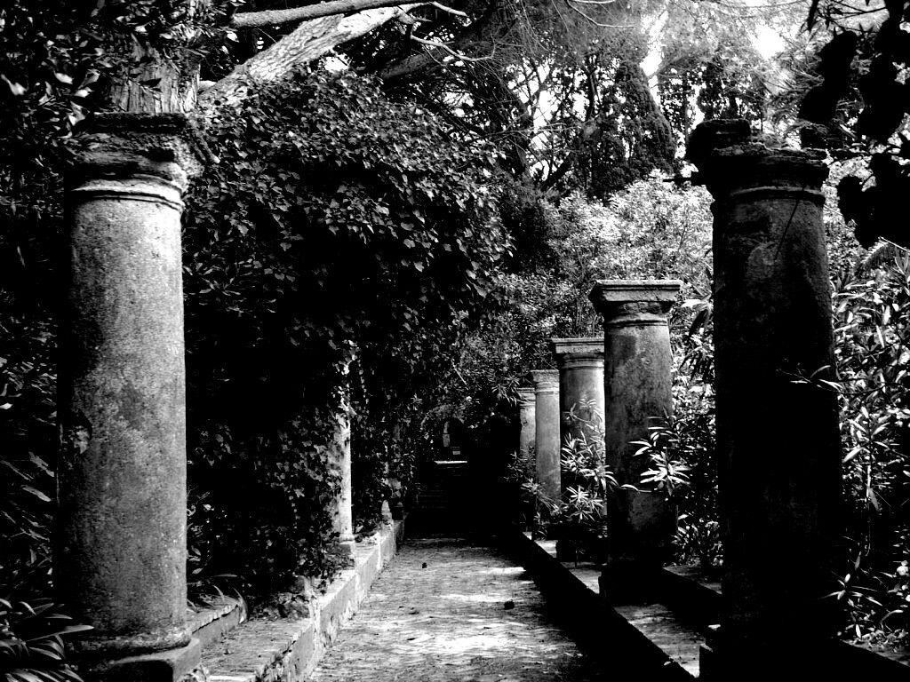 Галерея зимнего сада обои