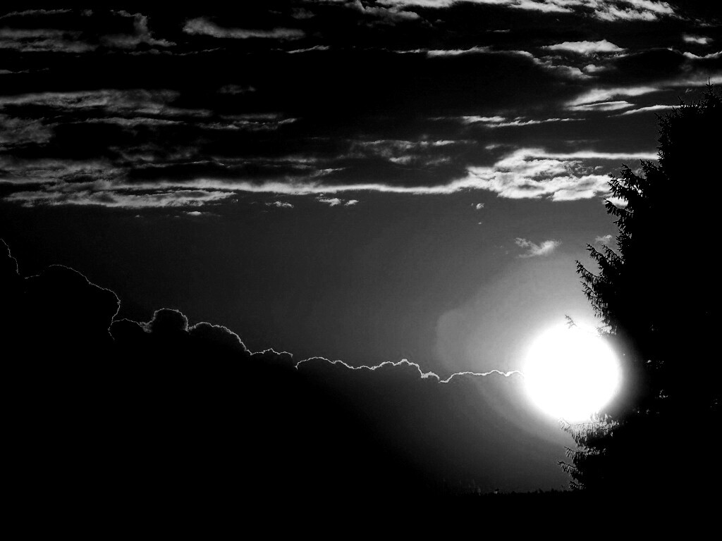 Теплый закат над полем обои