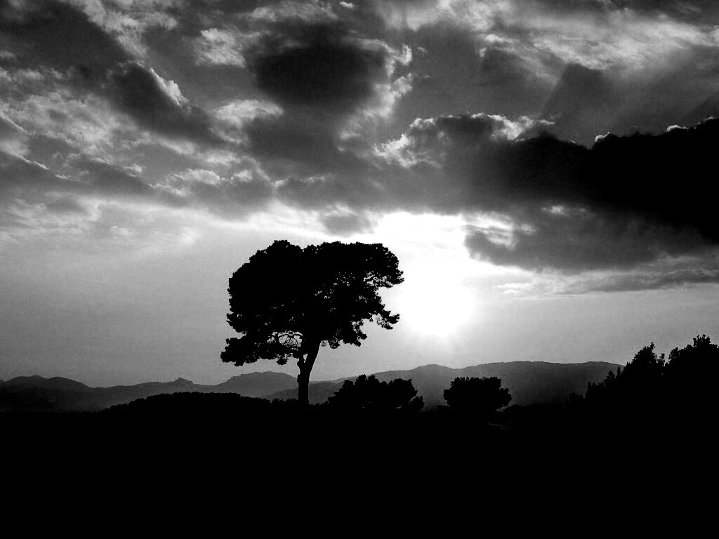 Закат над холмами обои