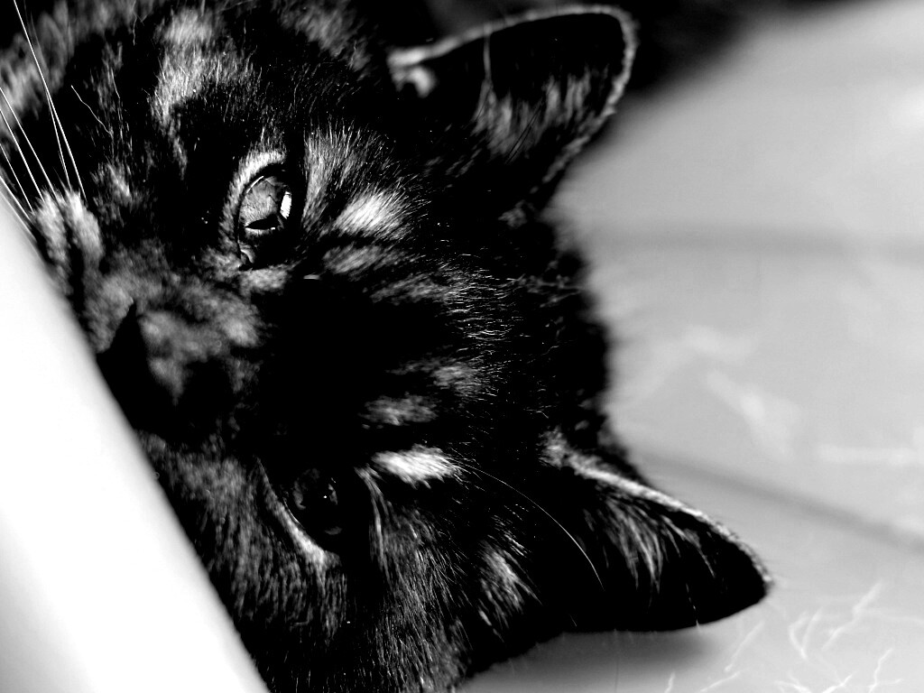 Глаза и уши обои