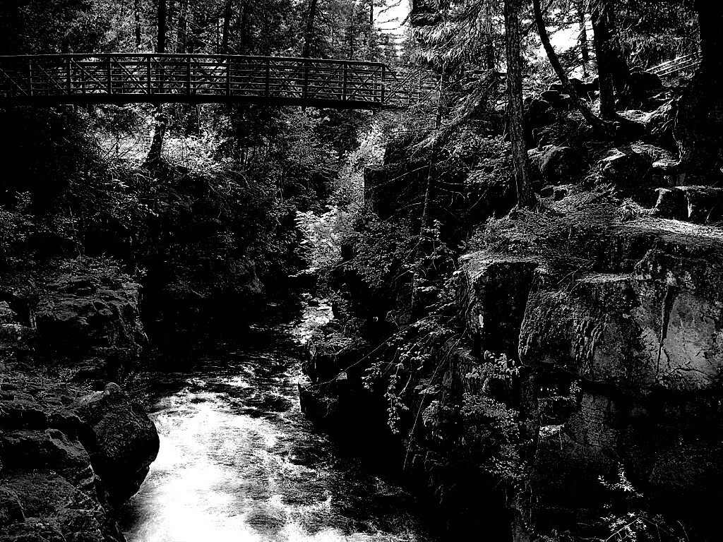 Мостик через реку в лесу обои