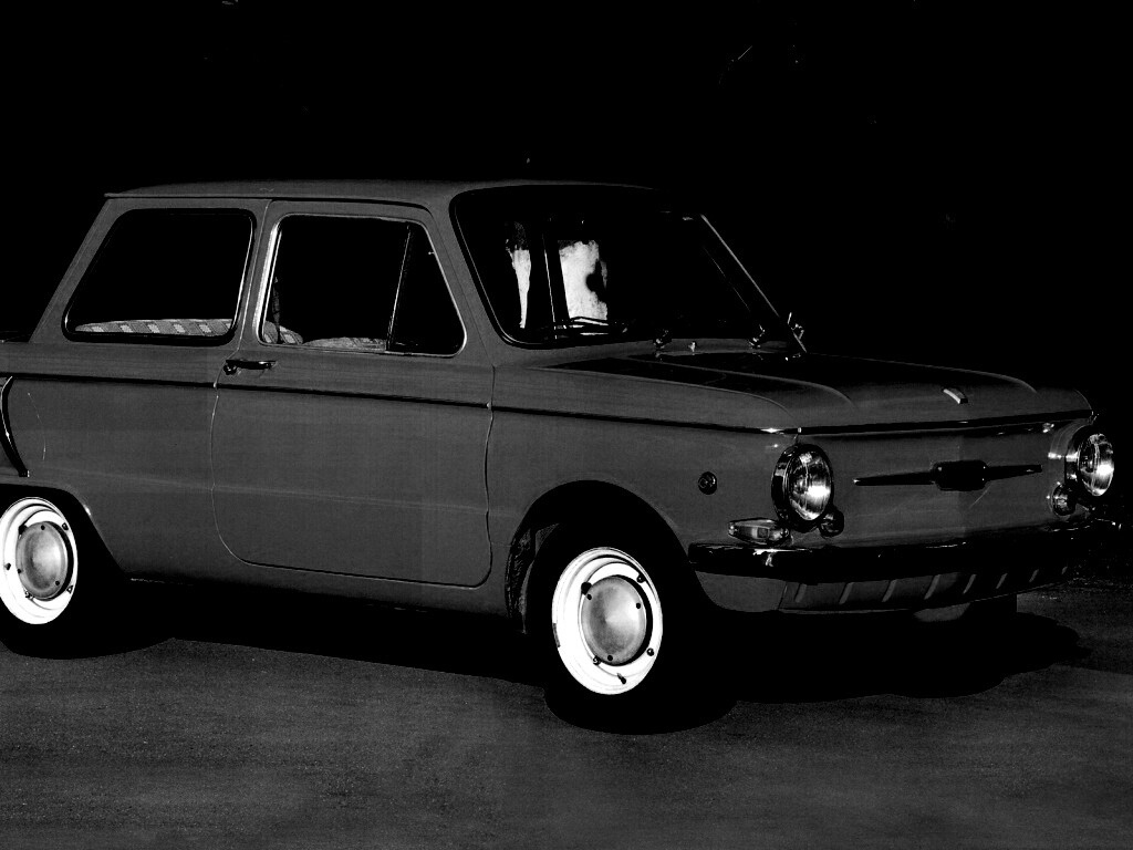 Оранжевый ушастый запорожец обои