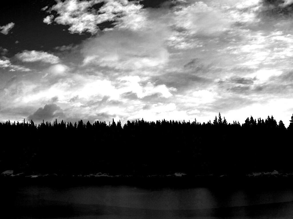 Лес на озере обои