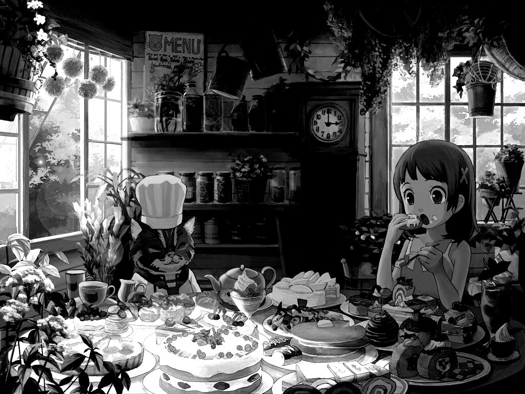 У кота повара обои