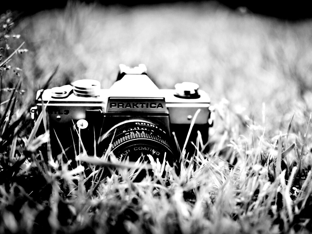 Фотоаппарат Praktica в траве обои
