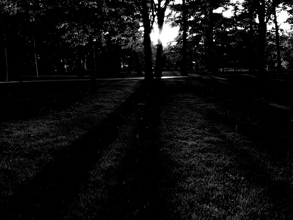 Лучи солнца сквозь листву деревьев обои