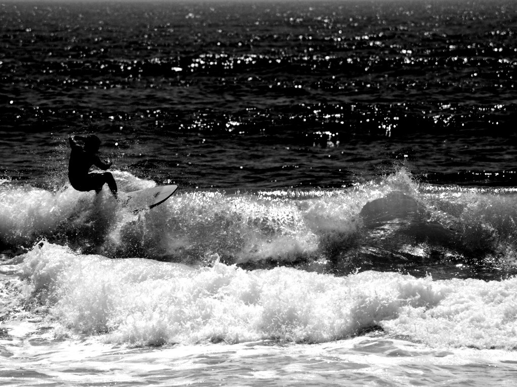 Сёрфенгист поймал волну обои