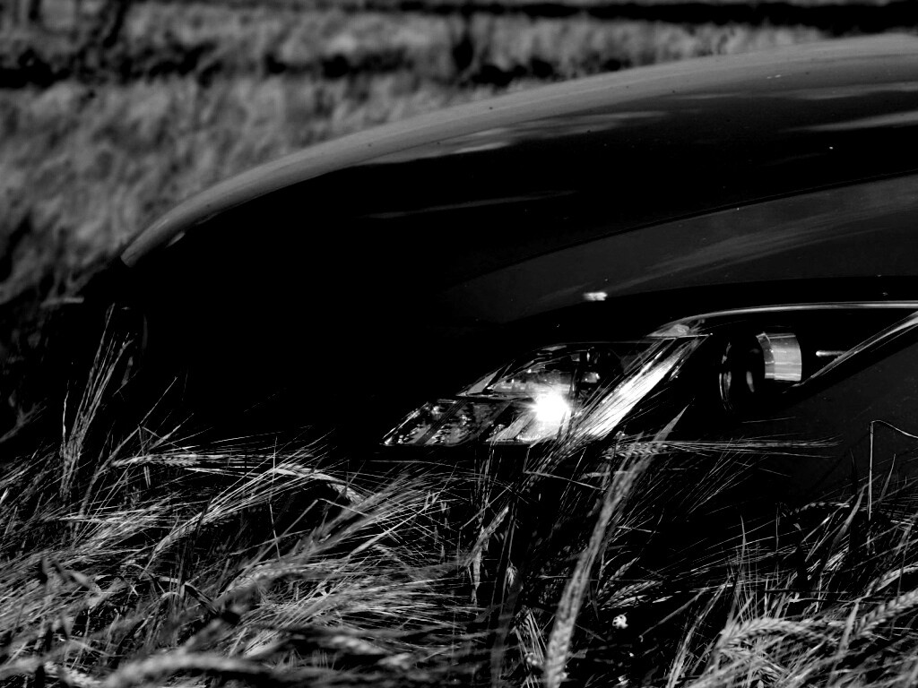 Мазда в пшенице обои