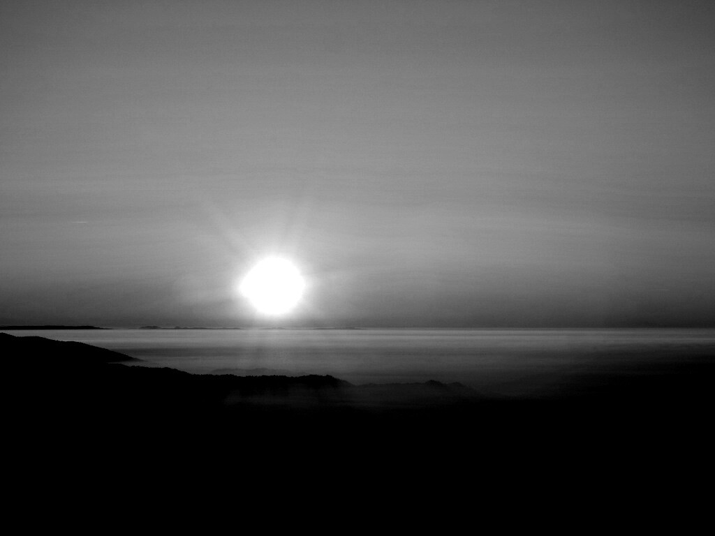 Восход солнца над лесом обои