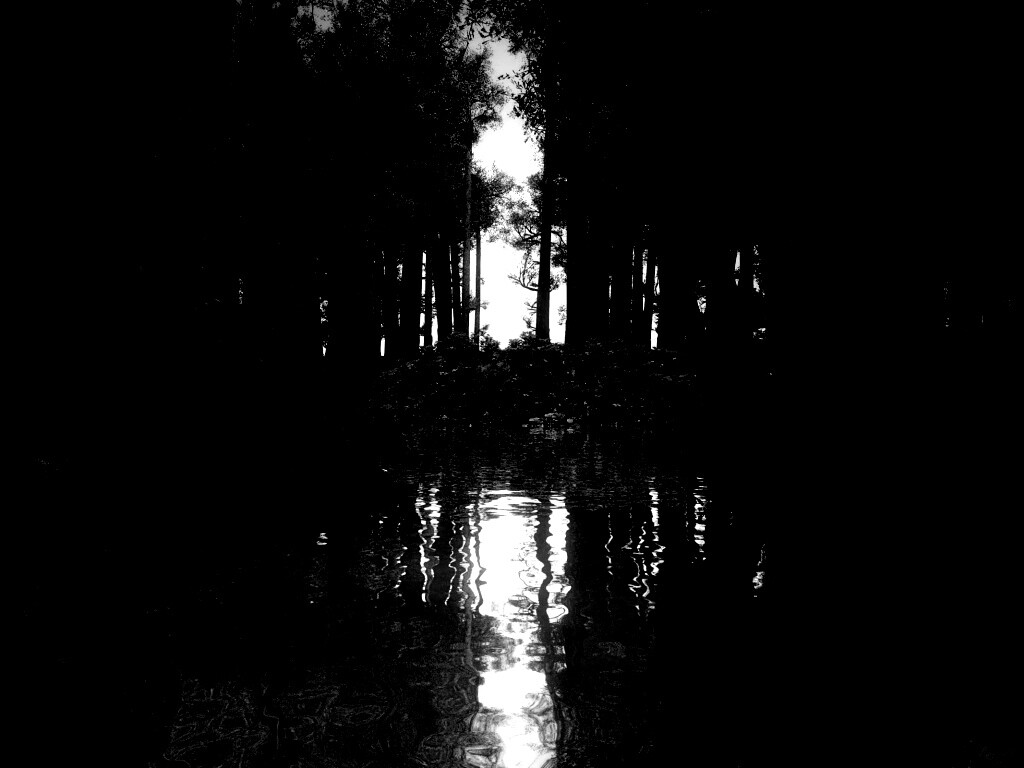 Болото в лесу обои