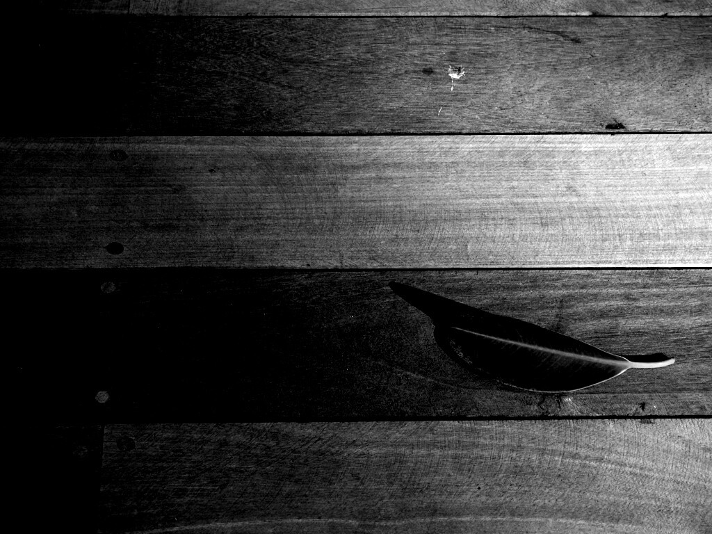 Лист на деревянном полу обои