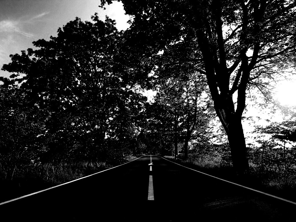 Прямая дорога обои