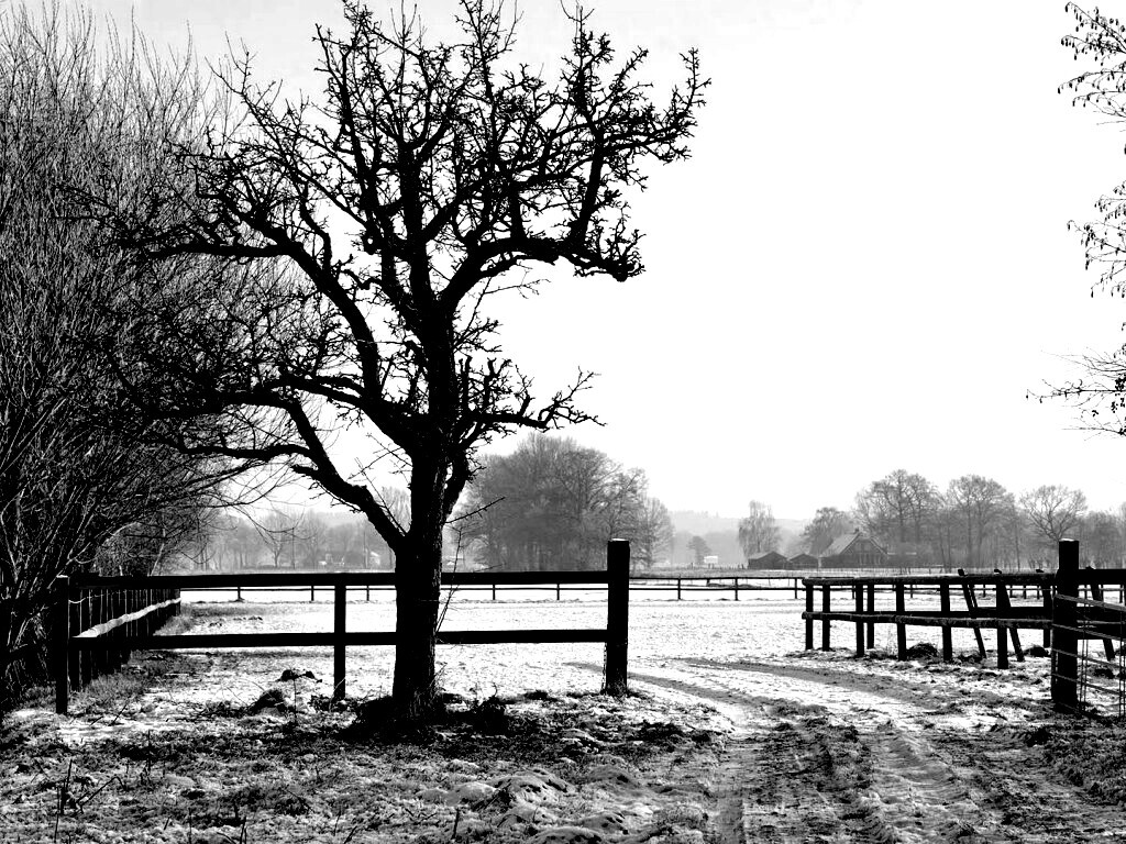 Зимний пейзаж обои