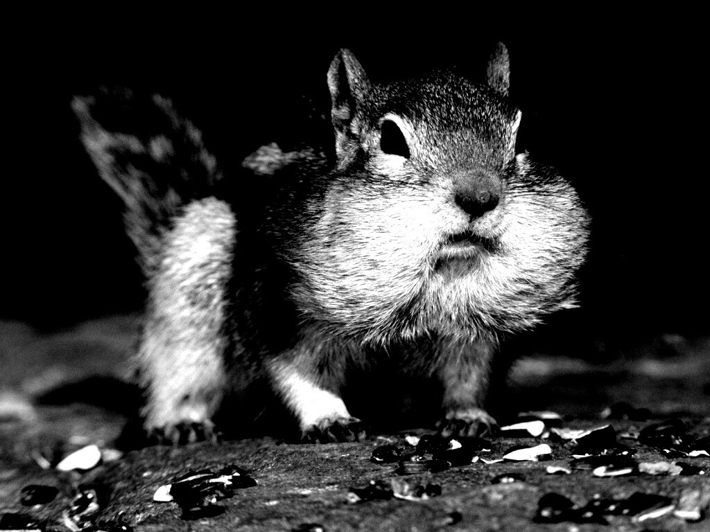 Не жадный, а бережливый обои