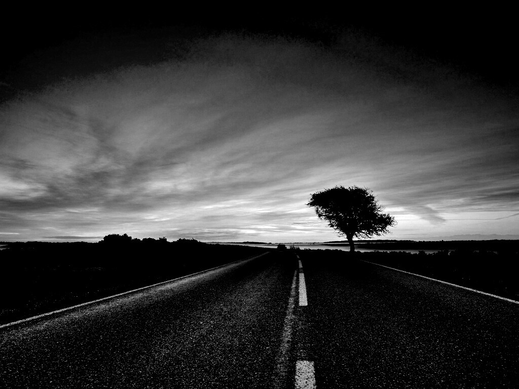 Дорога обои