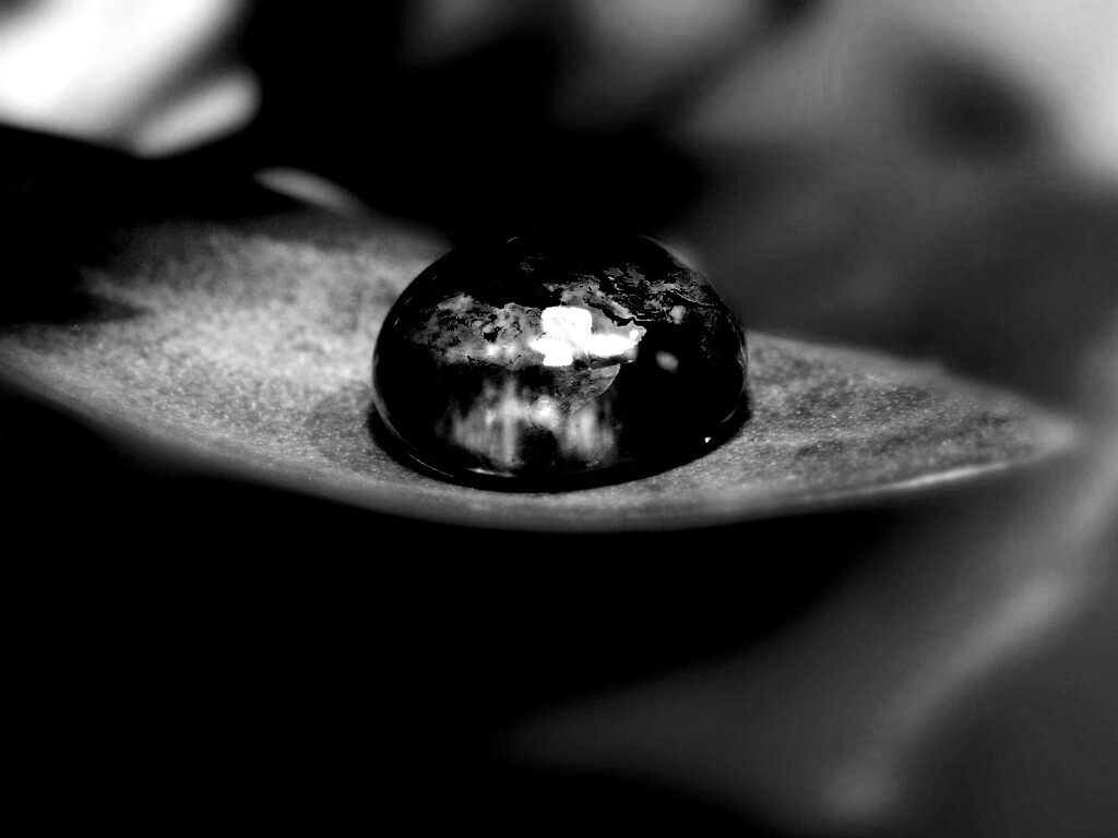 Целый мир в капле воды обои