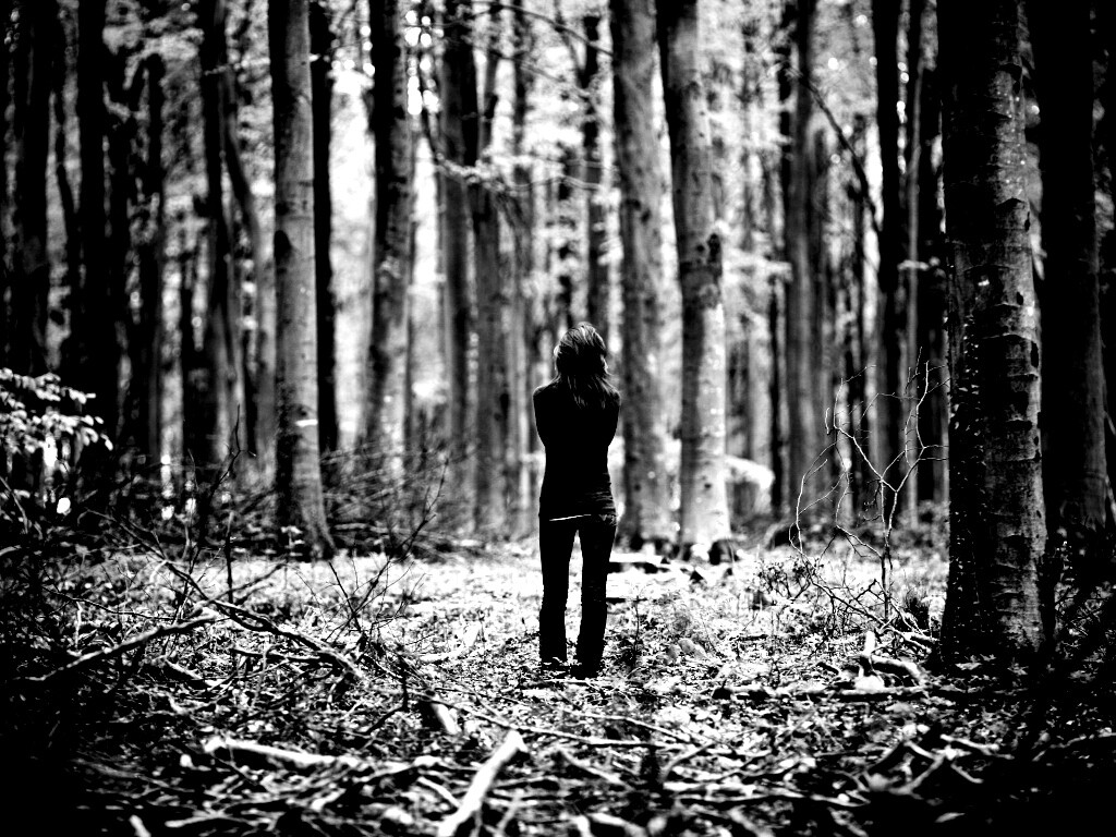 Одна в лесу обои