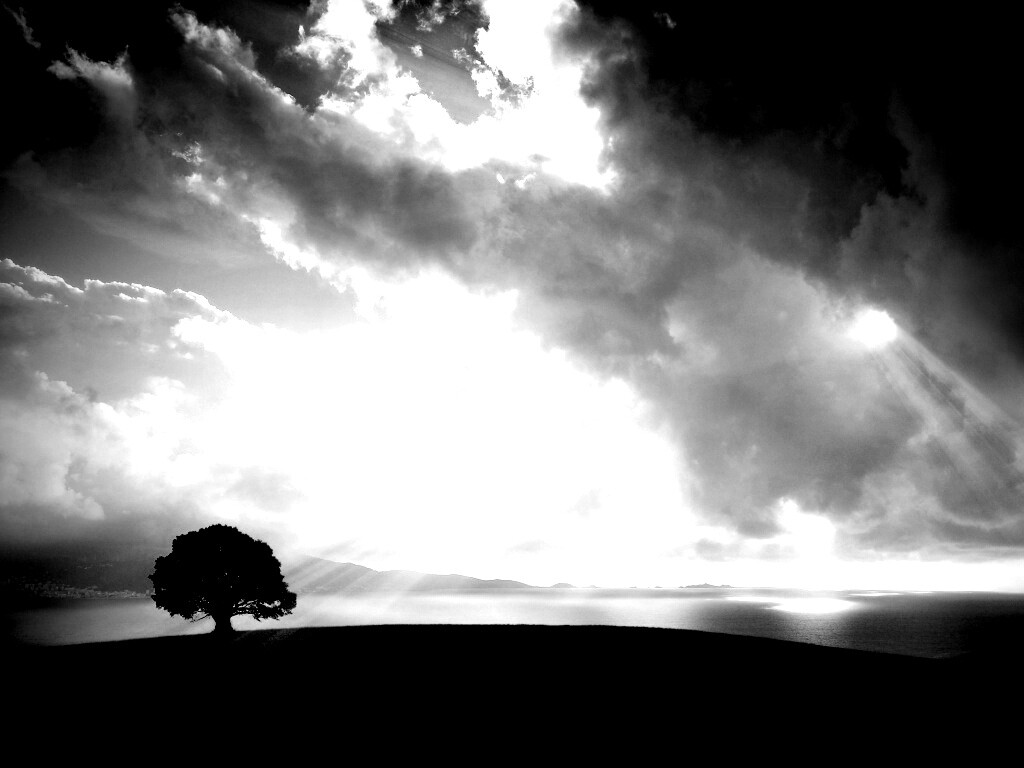 Холм и дерево обои