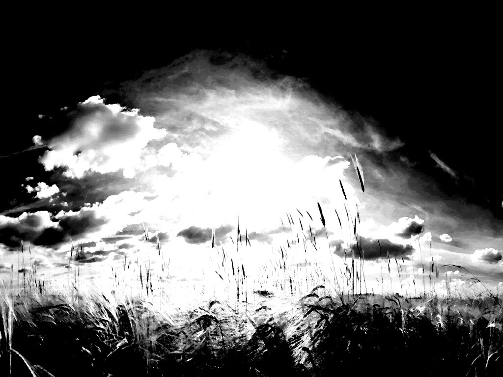 Сюрреалистичная трава обои